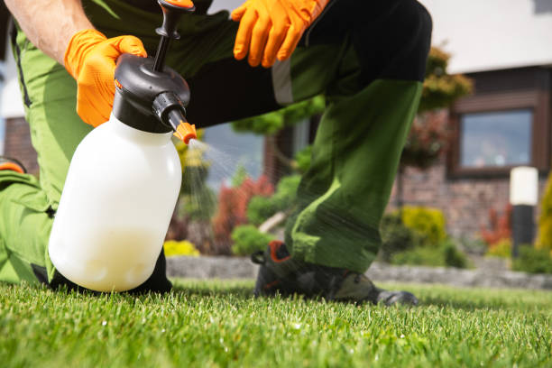 Best Pest Control Near Me  in Hanapepe, HI